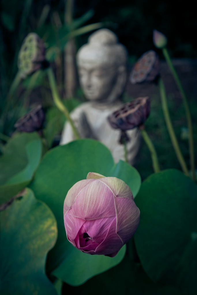 Yoga et bains sonores