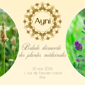 Balade découverte des plantes médicinales
