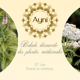 Balade découverte des plantes médicinales